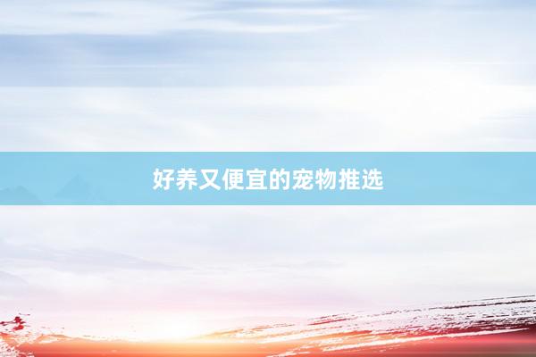 好养又便宜的宠物推选